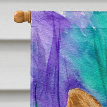Load image into Gallery viewer, Norwich Terrier Flag Canvas House Size