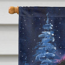 Load image into Gallery viewer, Starry Night Bernese Mountain Dog Flag Canvas House Size