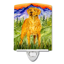 Load image into Gallery viewer, Chesapeake Bay Retriever Ceramic Night Light SS8449CNL
