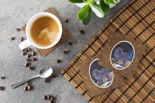 Load image into Gallery viewer, Starry Night Chow Chow Coasters - Set of 4 Lightweight Foam, Absorbent Drink Coasters