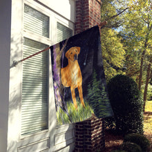 Load image into Gallery viewer, Starry Night Rhodesian Ridgeback Flag Canvas House Size