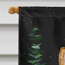 Load image into Gallery viewer, Starry Night Collie Smooth Flag Canvas House Size