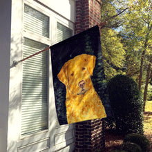 Load image into Gallery viewer, Starry Night Chesapeake Bay Retriever Flag Canvas House Size