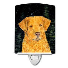 Load image into Gallery viewer, Starry Night Chesapeake Bay Retriever Ceramic Night Light SS8487CNL