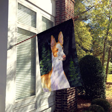 Load image into Gallery viewer, Starry Night Ibizan Hound Flag Canvas House Size