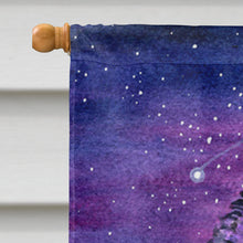 Load image into Gallery viewer, Starry Night Pomeranian Flag Canvas House Size
