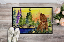 Load image into Gallery viewer, American Water Spaniel Doormat - 24x36 Decorative Floor Mat – Indoor/Outdoor Rug with Artistic Flair Doormat