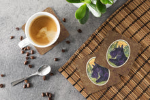 Load image into Gallery viewer, Scottish Terrier Coasters - Set of 4 Lightweight Foam, Absorbent Drink Coasters