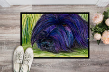 Load image into Gallery viewer, Briard Doormat - 24x36 Decorative Floor Mat – Indoor/Outdoor Rug with Artistic Flair Doormat