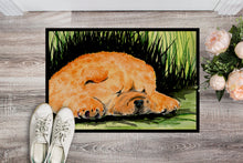 Load image into Gallery viewer, Chow Chow Doormat - 24x36 Decorative Floor Mat – Indoor/Outdoor Rug with Artistic Flair Doormat