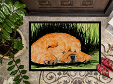 Load image into Gallery viewer, Chow Chow Doormat - 24x36 Decorative Floor Mat – Indoor/Outdoor Rug with Artistic Flair Doormat