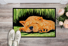 Load image into Gallery viewer, Chow Chow Doormat - 24x36 Decorative Floor Mat – Indoor/Outdoor Rug with Artistic Flair Doormat