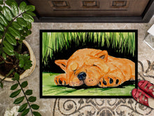 Load image into Gallery viewer, Chow Chow Doormat - 24x36 Decorative Floor Mat – Indoor/Outdoor Rug with Artistic Flair Doormat