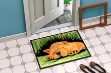 Load image into Gallery viewer, Chow Chow Doormat - 24x36 Decorative Floor Mat – Indoor/Outdoor Rug with Artistic Flair Doormat