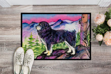 Load image into Gallery viewer, Tibetan Mastiff Doormat - 24x36 Decorative Floor Mat – Indoor/Outdoor Rug with Artistic Flair Doormat