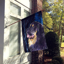 Load image into Gallery viewer, Starry Night Tibetan Mastiff Flag Canvas House Size