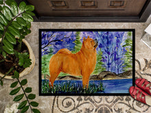 Load image into Gallery viewer, Chow Chow Doormat - 24x36 Decorative Floor Mat – Indoor/Outdoor Rug with Artistic Flair Doormat