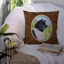 Load image into Gallery viewer, Akita Throw Pillow - 14x14 Decorative Pillow – Art for Your Home &amp; Patio