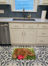Load image into Gallery viewer, Curly Coated Retriever Machine Washable Memory Foam Mat SS8684RUG
