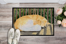 Load image into Gallery viewer, Golden Retriever Doormat - 24x36 Decorative Floor Mat – Indoor/Outdoor Rug with Artistic Flair Doormat