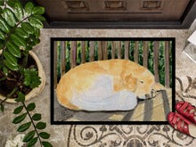 Load image into Gallery viewer, Golden Retriever Doormat - 24x36 Decorative Floor Mat – Indoor/Outdoor Rug with Artistic Flair Doormat