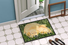 Load image into Gallery viewer, Golden Retriever Doormat - 24x36 Decorative Floor Mat – Indoor/Outdoor Rug with Artistic Flair Doormat