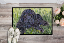 Load image into Gallery viewer, Newfoundland Doormat - 24x36 Decorative Floor Mat – Indoor/Outdoor Rug with Artistic Flair Doormat