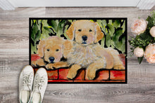 Load image into Gallery viewer, Golden Retriever Doormat - 24x36 Decorative Floor Mat – Indoor/Outdoor Rug with Artistic Flair Doormat