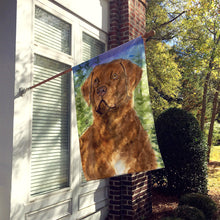 Load image into Gallery viewer, Chesapeake Bay Retriever Flag Canvas House Size