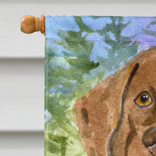 Load image into Gallery viewer, Chesapeake Bay Retriever Flag Canvas House Size