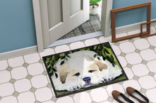 Load image into Gallery viewer, Golden Retriever Doormat - 24x36 Decorative Floor Mat – Indoor/Outdoor Rug with Artistic Flair Doormat