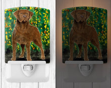 Load image into Gallery viewer, Chesapeake Bay Retriever Ceramic Night Light SS8969CNL