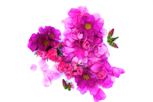 Load image into Gallery viewer, Wild Rose Lip Balm