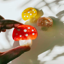 Load image into Gallery viewer, Set of 3 Velvet Claws Mini Mushroom Hair Clips in Velvet Travel Bag