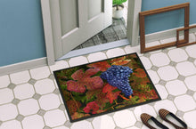 Load image into Gallery viewer, Grapes Of Joy by Malenda Trick Doormat - 24x36 Decorative Floor Mat – Indoor/Outdoor Rug with Artistic Flair TMTR0151JMAT