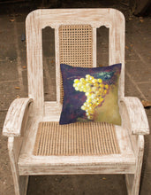 Load image into Gallery viewer, New White Grapes by Malenda Trick Canvas Decorative Pillow TMTR0152PW1414