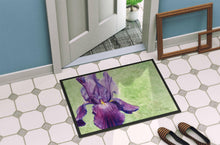 Load image into Gallery viewer, Purple Iris by Malenda Trick Doormat - 24x36 Decorative Floor Mat – Indoor/Outdoor Rug with Artistic Flair TMTR0234JMAT