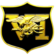 Load image into Gallery viewer, GL11-008 Navy Seal Team 6 Naval Special Warfare Lion Trident Shield Challenge Coin Seal Team Six
