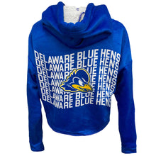 Load image into Gallery viewer, Delaware Varsity Furry Hoodie