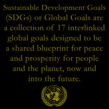 Load image into Gallery viewer, GL3-004 UN 17 Sustainable Development Goals United Nation not NATO Global Goals Lapel Pin Blueprint for Peace