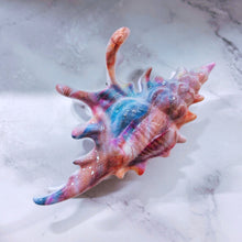 Load image into Gallery viewer, Velvet Claws Realistic Conch Shell Hair Claw in Mermaid Colors | Claw Clip in Velvet Travel Bag