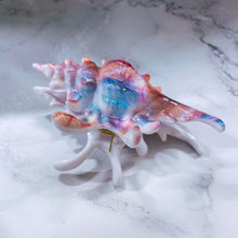 Load image into Gallery viewer, Velvet Claws Realistic Conch Shell Hair Claw in Mermaid Colors | Claw Clip in Velvet Travel Bag