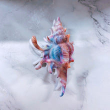Load image into Gallery viewer, Velvet Claws Realistic Conch Shell Hair Claw in Mermaid Colors | Claw Clip in Velvet Travel Bag