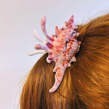 Load image into Gallery viewer, Velvet Claws Realistic Conch Shell Hair Claw in Natural Brown and White | Claw Clip in Velvet Travel Bag