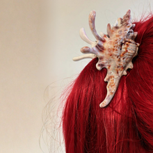 Load image into Gallery viewer, Velvet Claws Realistic Conch Shell Hair Claw in Natural Brown and White | Claw Clip in Velvet Travel Bag