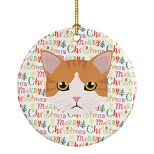 Load image into Gallery viewer, European Shorthair Cat Christmas Ceramic Ornament