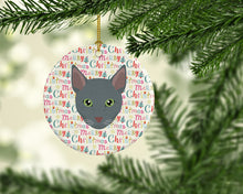 Load image into Gallery viewer, Raas Cat Christmas Ceramic Ornament