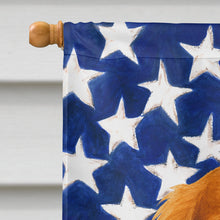 Load image into Gallery viewer, Blenheim Cavalier Spaniel American Flag House Flag