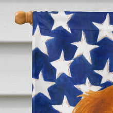 Load image into Gallery viewer, Ruby Cavalier Spaniel American Flag House Flag