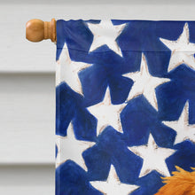 Load image into Gallery viewer, Wirehaired Red Dachshund American Flag House Flag
